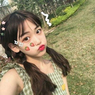 欢乐树的朋友们